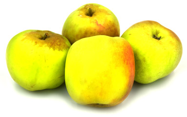 manzana criolla