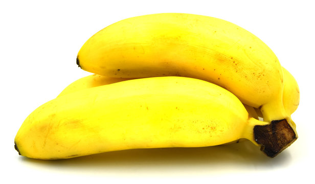 Orito