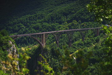 Fototapeta na wymiar Famous arched concrete bridge in Montenegro - Dzhurdzhevicha Bridge on the river Tara. River canyon. 