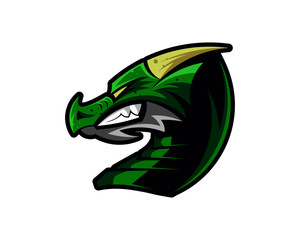 abstract, illustration, logo, symbol, sport, team, mascot,  head, emblem, animal, wild