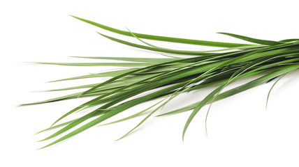 Bunch of green grass.