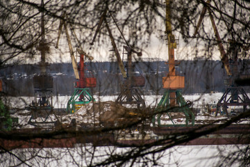 Port cranes carry out loading of ships and barges. View from the branches of trees.