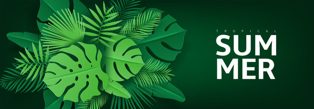 Tropical summer banner with leaves. Vector illustration with tropical leaves in paper cut style on dark green background.
