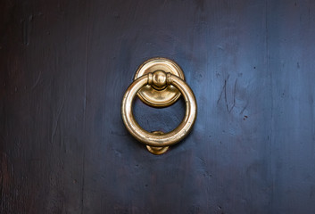 Brass door knocker on dark wood