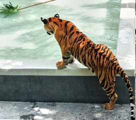 tiger by water