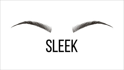 Sleek, Rounded Vector Hand Drawn Brows Shape. Female Brows Style With Title Isolated Clipart. Microblading Master Business Card. Beauty Industry. Natural, Permanent Eyebrows Realistic Illustration