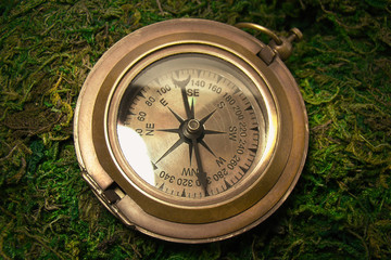 Old vintage compass on a background of moss.