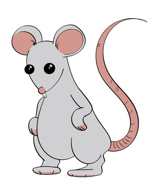 White Cartoon Rat