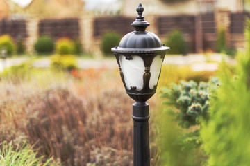 Forged street lights, for the testimony of a courtyard with landscape design with various...