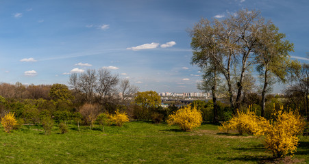 Landscape Spring Goloseevsky Botanikal Park