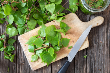 Cutting up birch leaves to prepare tincture, top view