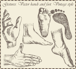 Hand and foots in retro style - Vector illustration