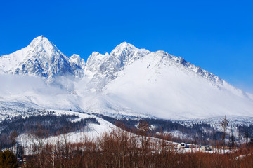 Fototapeta premium Beautiful snowy mountain landscape