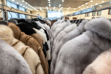 Salon on the sale of fur fur coats