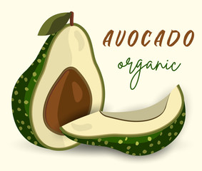 Vector fresh avocado.Cartoon style 