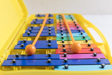 rainbow dubble xylophone close up on a white backgpound