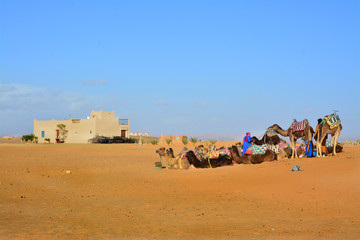 pustynia, Sahara Zachodnia, Maroko © VinyLove Foto
