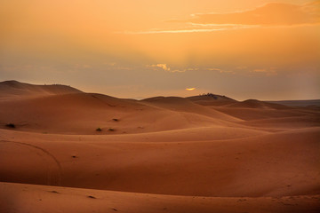 pustynia, Sahara Zachodnia, Maroko