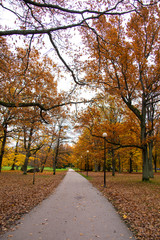 View of Kadriorg park in autumn, Tallinn, Estonia