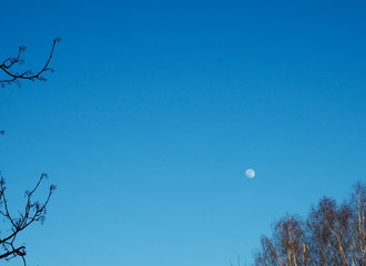 full moon in the evening sky