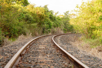 Obraz premium path made by train rail in the forest