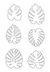 Set with outline tropical Monstera © milushka