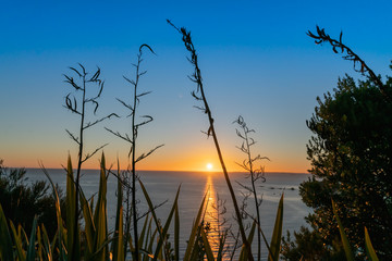 Landscape silhouette at sunrise
