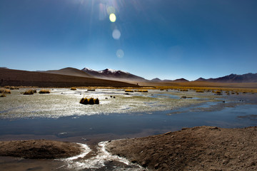 atacama desert