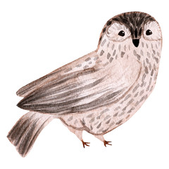 Watercolor cute baby fox. Isolated on white background. Woodland animal. Hand drawn illustration. Design for children clothing