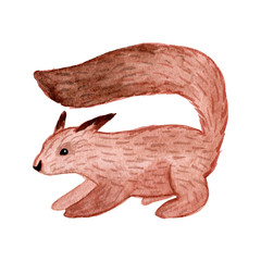 Watercolor cute squirrel. Isolated on white background. Woodland animal. Hand drawn illustration. Design for children clothing