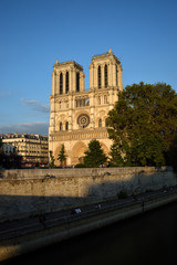 Fototapeta na wymiar Notre Dame de Paris at sunset.