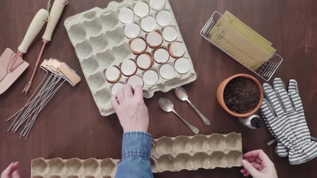 Flat lay. Mother and daughter starting seeds in eggshells for Spring planting.