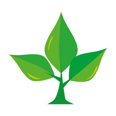 ecology leafs plant icon
