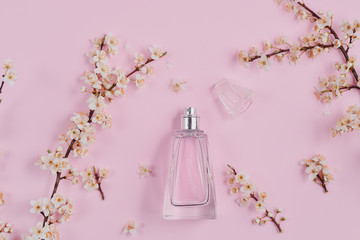 Bottle of female perfume and blossom branch cherry on pink background. Perfumery, cosmetics. Beauty blog layout. Spring minimal concept. Flat lay, top view, copy space.