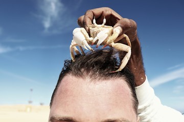 Naklejka premium Crab on vacation. Red sea.