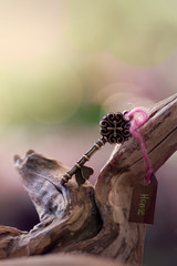House key