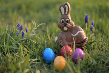 Schokoladen Osterhast mit Ostereier im Gras