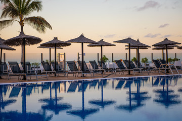 reflection of palm trees and umberllas in a swimming pool 