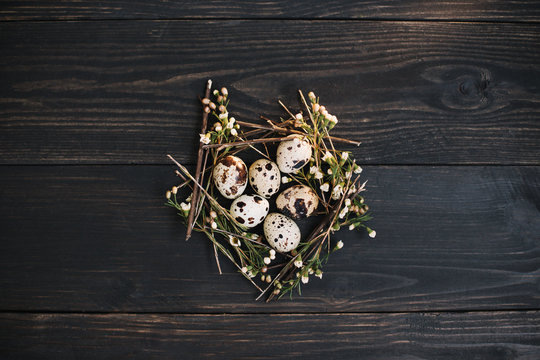 Easter eggs on wooden background. Rustic easter still life with quail eggs, dry willow branches on dark background. 