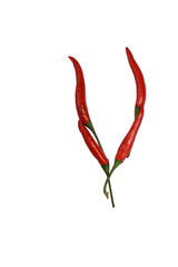 Alphabet of hot spice cayenne chili peppers isolated on white. Vegetable chili peppers in shape of...