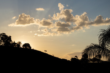 Sunset with Silhouette Arbors in Summer