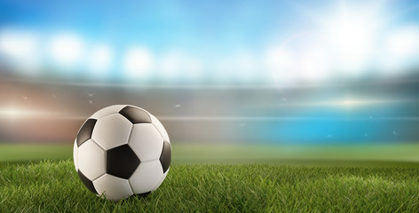 soccer ball green grass 3d-illustration and soccer stadium