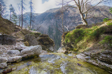 Flowing mountain stream, Slovenia, Triglav national park, Julian Alps, Waterfall Pericnik