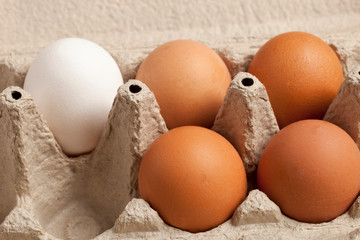 Close-up view of raw chicken eggs brown and white in box, egg white, egg brown on green background