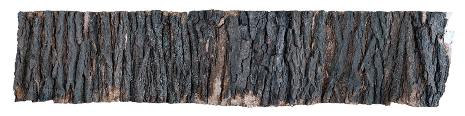 Large piece of tree bark isolated on white. Panorama texture of the bark of a tree