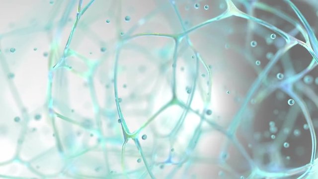 bio net structure