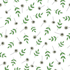 Vector seamless pattern of garden flowers and herbs. Hand drawn cartoon style repeat background. Cute summer or spring endless backdrop for wedding, holiday or card design