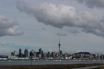 Auckland City