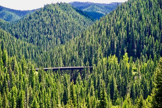 Looking down on Trestle bridge in the forests of Saint Joe National Forest, Idaho