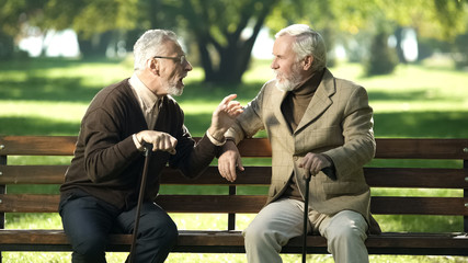 Gray friends spending time on bench in park breathing fresh air and talking